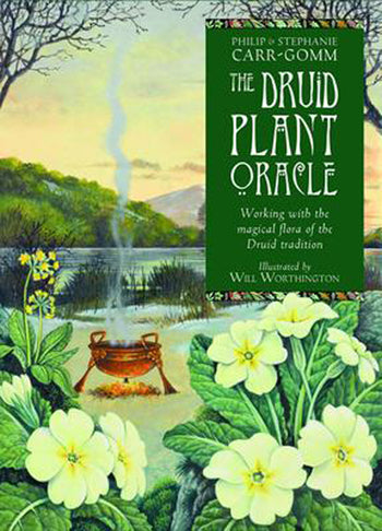 Druid Plant Oracle Set Working with the Magical Flora of the Druid Tradition