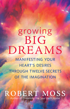 Growing Big Dreams Manifesting Your Heart's Desires through Twelve Secrets of the Imagination