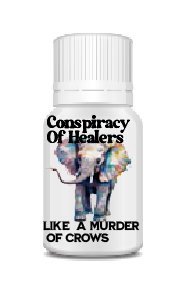 A Conspiracy of Healers