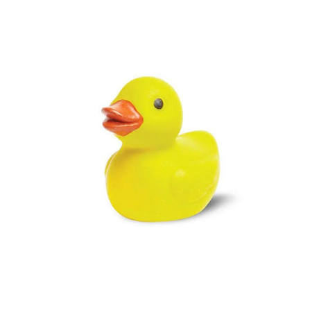 Ducky