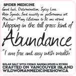 Spider Medicine - Abundance