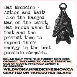 Bat Medicine - Action and Wait!