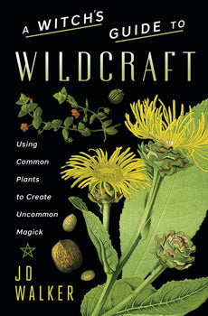 Witch's Guide to Wildcraft Using Common Plants to Create Uncommon Magick
