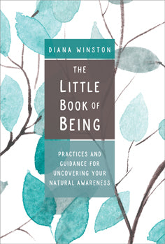 Little Book of Being Practices and Guidance for Uncovering Your Natural Awareness