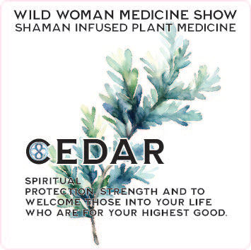 Cedar - Shaman Infused - Power Plant Medicine