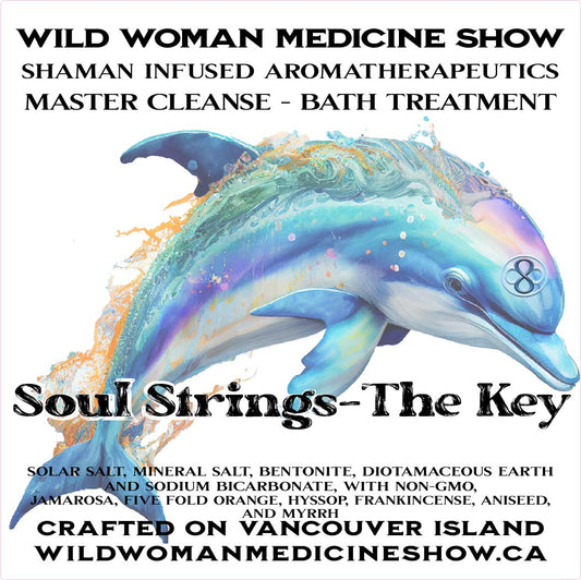 Soul Strings - The Key
