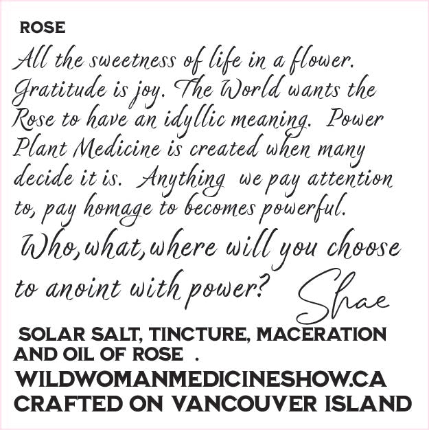 Rose - Power Plant Medicine