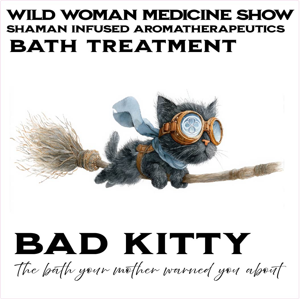Bad Kitty