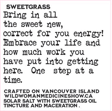 Sweetgrass - Power Plant Medicine